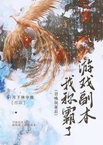 召唤挽家,称霸副本